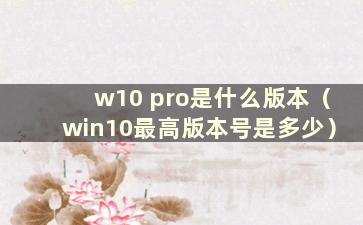 w10 pro是什么版本（win10最高版本号是多少）